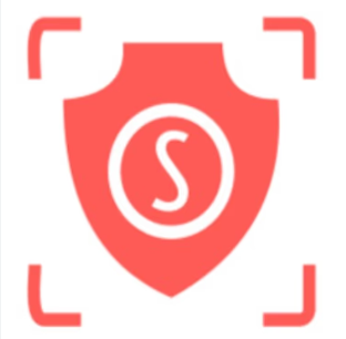 SecureBlink logo