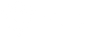 BigID