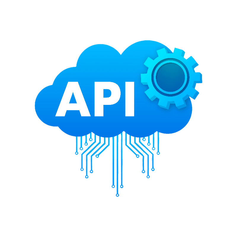 API Penetration Testing Services