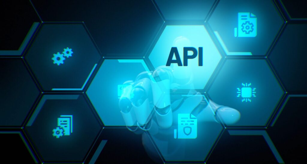 API security assessment India - api endpoints on screen
