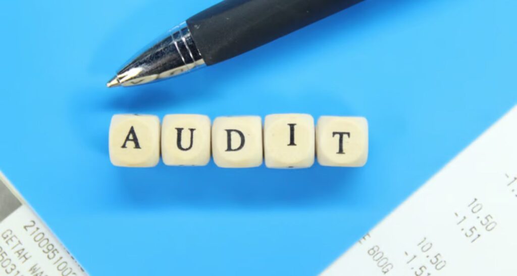 IS audit India - audit documentation