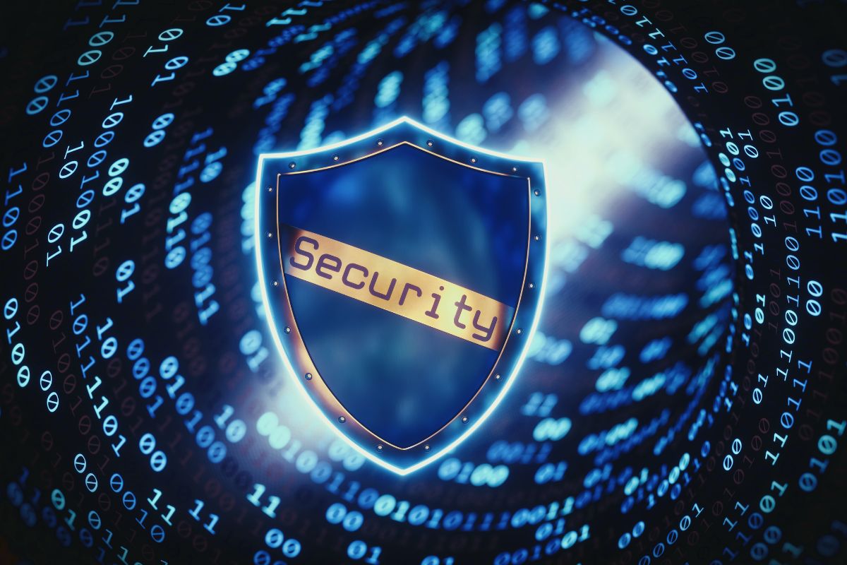 dpo as a service in india - data protection and privacy concept for India